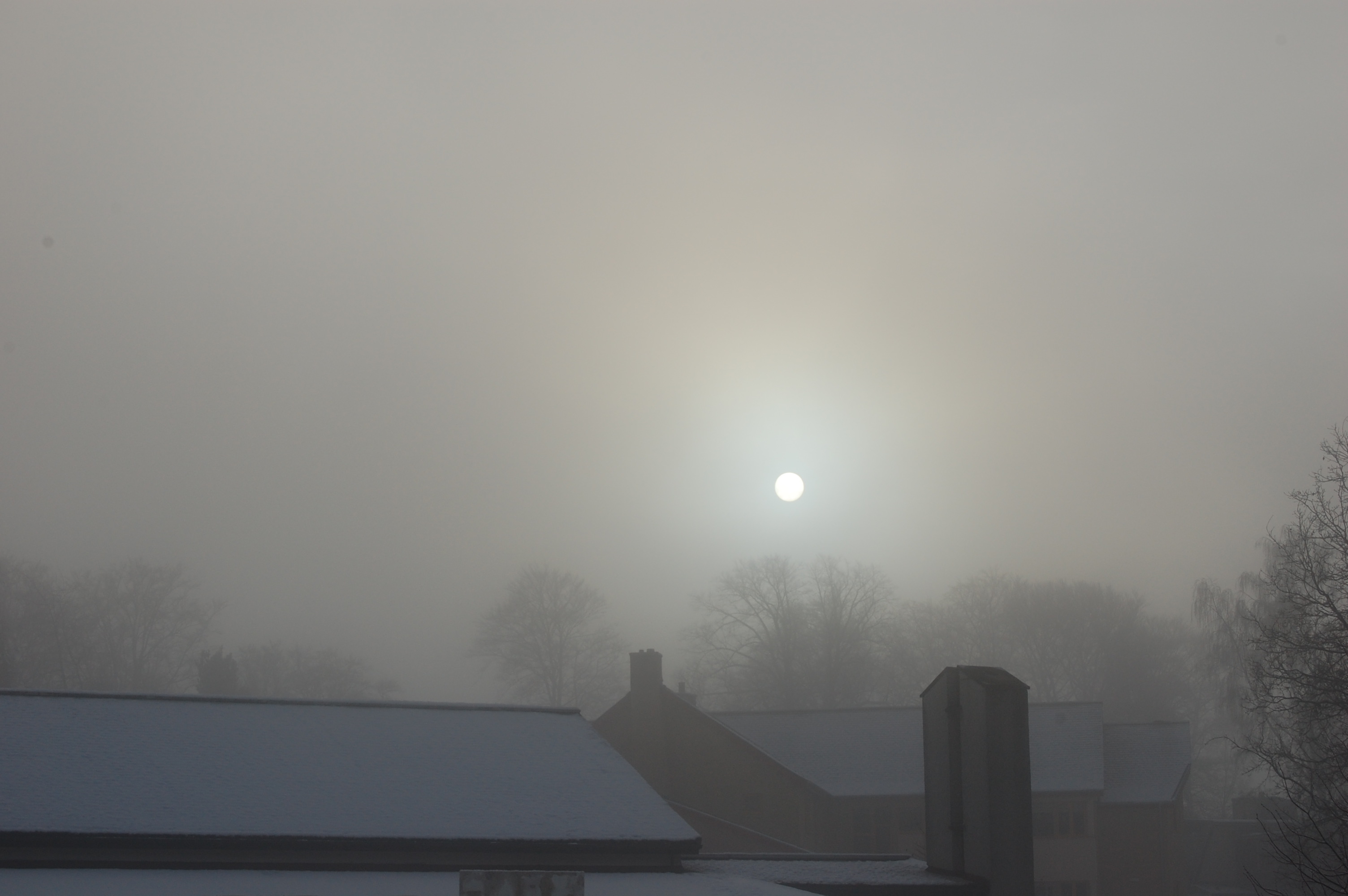 DSC_0042.JPG