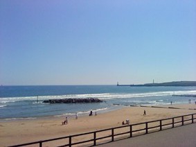 DSC01167web.jpg